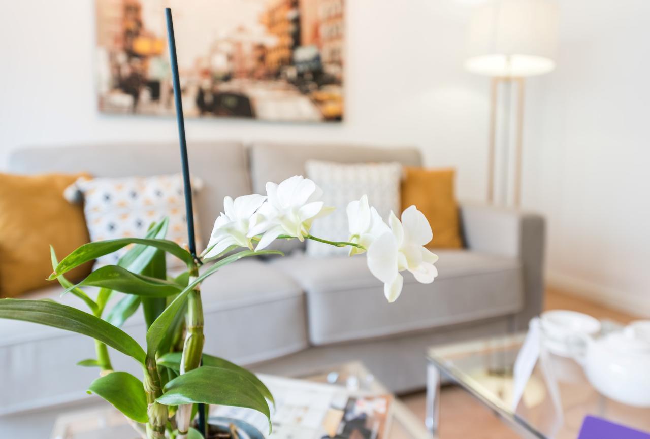Blasco De Garay City Center Apartamento Madrid